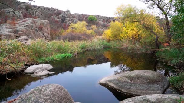 Un arroyo rápido y limpio corre entre suaves piedras húmedas rodeadas de grumos altos y secos — Vídeo de stock