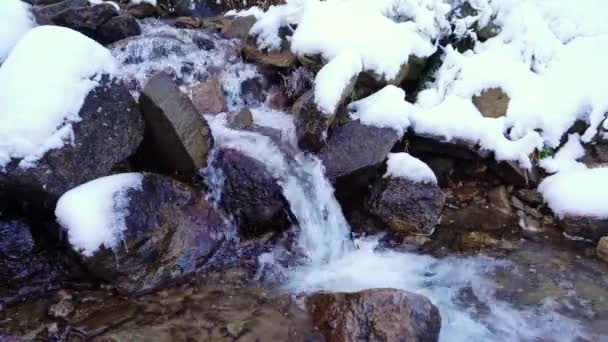 ウクライナの絵のように美しいカルパチア山脈のぬれた石と白い雪の間の小さなストリーム — ストック動画