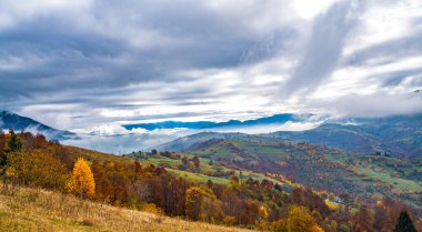 Güzel tepelerdeki Karpatlar 'ın alışılmadık güzellikte doğası, renkli ormanlardan oluşan fantastik gökyüzü ve küçük bir köy.