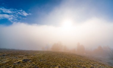 Sonbahar sabahının erken saatlerinde ve donmuş kuru çimenler parlak soğuk güneşin altında beyaz sisle kaplanmış.