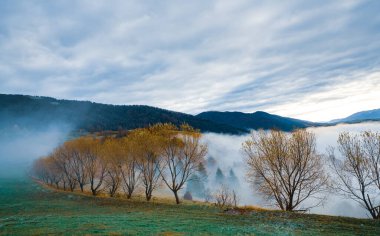 Karpatların ılık yeşil dağlarında yoğun renkli ormanlar kalın gri sisle kaplıdır.