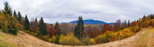 Nature Exceptionnellement Belle Des Montagnes Des Carpates Dans Belles Collines — Photo