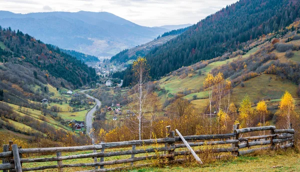 Bewitching Beautiful Summer Landscape Green Meadow Hill Overlooking Dense Coniferous — Stock Photo, Image