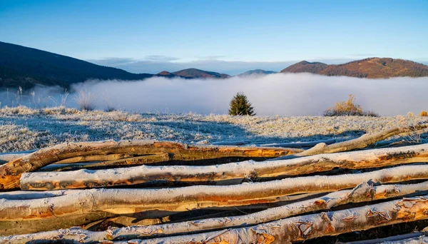 Árvores Cortadas Usadas Para Aquecer Casas Jazem Chão Congelado Tempo — Fotografia de Stock