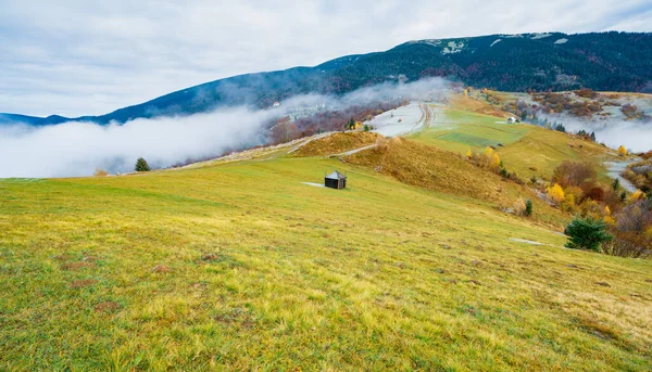 Mehrere Große Heuhaufen Mit Nassem Gras Dichten Weißen Nebel Vor — Stockfoto