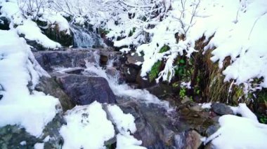 Ukrayna 'daki Karpat Dağları' ndaki ıslak taşlar ve beyaz karlar arasında küçük bir dere.