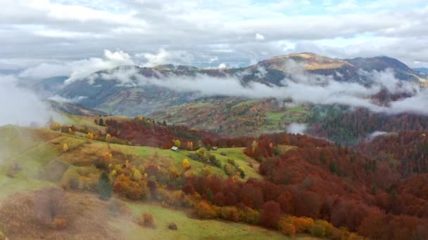Vuela sobre paisajes de verdes colinas bajo una capa de nubes blancas y esponjosas — Vídeos de Stock