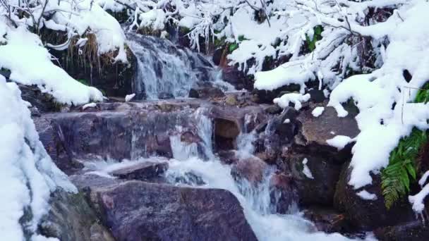 Pequeño arroyo entre piedras mojadas y nieve blanca en las pintorescas montañas de los Cárpatos en Ucrania — Vídeo de stock