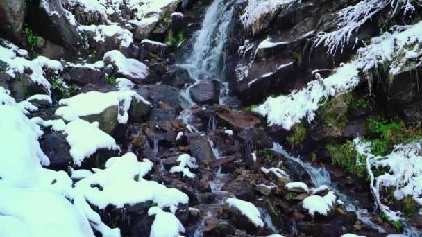 Pequeño arroyo entre piedras mojadas y nieve blanca en las pintorescas montañas de los Cárpatos en Ucrania — Vídeo de stock
