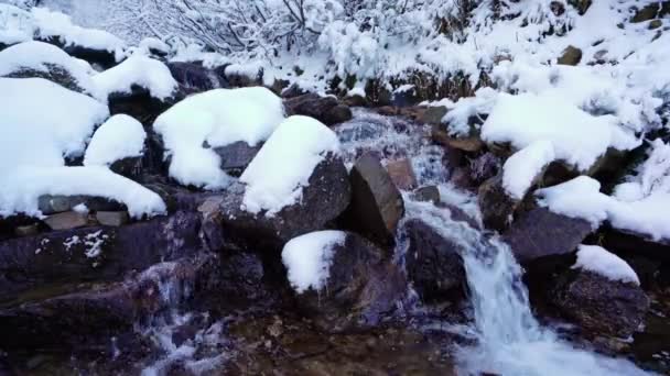 Pequeno riacho entre pedras molhadas e neve branca nas pitorescas montanhas dos Cárpatos na Ucrânia — Vídeo de Stock