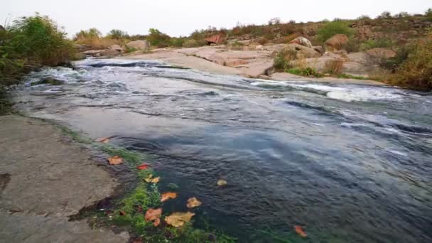Mały lśniący strumień płynie wśród gładkich mokrych i ciemnych kamieni — Wideo stockowe