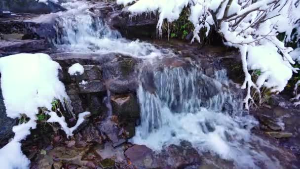 Mały strumień wśród mokrych kamieni i biały śnieg w malowniczych Karpatach na Ukrainie — Wideo stockowe