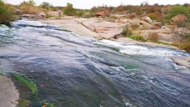 Un petit ruisseau brillant coule parmi les pierres lisses humides et sombres — Video