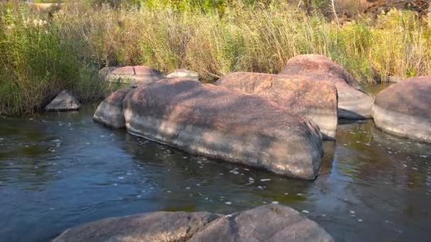 Un arroyo rápido y limpio corre entre suaves piedras húmedas rodeadas de grumos altos y secos — Vídeo de stock