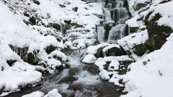 Pequeños arroyos de agua fría fluyen entre las piedras cubiertas de nieve — Vídeo de stock