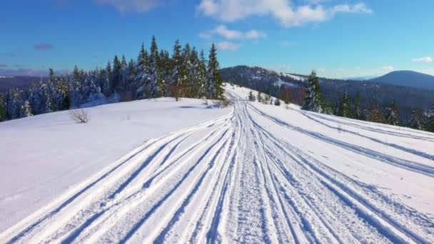 Paisajes inusuales de las montañas de los Cárpatos y bosques cubiertos de nieve y una pista de esquí — Vídeos de Stock