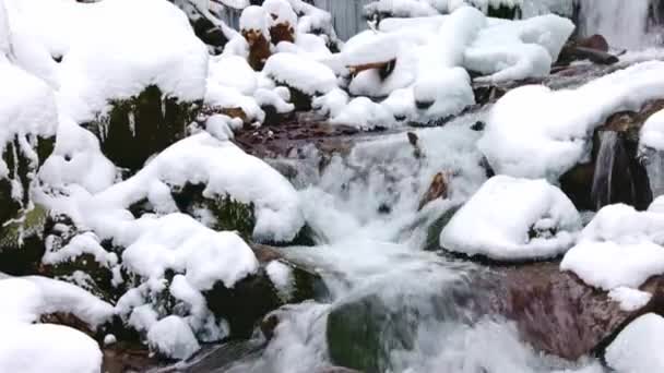 Pequeños arroyos de agua fría fluyen entre las piedras cubiertas de nieve — Vídeo de stock