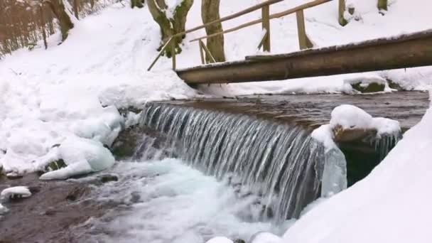 喀尔巴阡山脉森林山谷中一条山溪上的木桥 — 图库视频影像