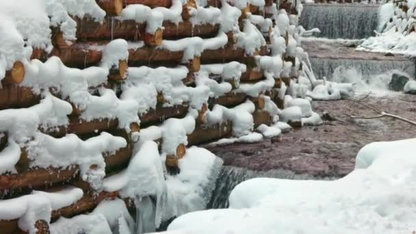 Un mur de rondins entoure un petit ruisseau dans la forêt près d'arbres nus — Video