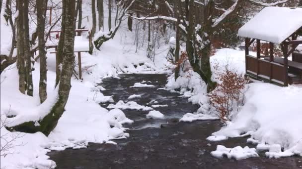 Ett trälusthus i skogens djup nära en fjällbäck och folk går förbi det klättrar upp från dalen — Stockvideo