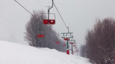 Karpatlar 'da bir dağ ormanı ve gri gökyüzünün arka planında kayak kaldırışı görüntüsü