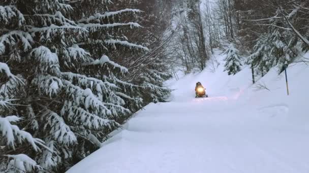 Kar motosikletli bir adam karla kaplı bir yol boyunca Karpatya dağlarındaki bir tepeye doğru gidiyor. — Stok video