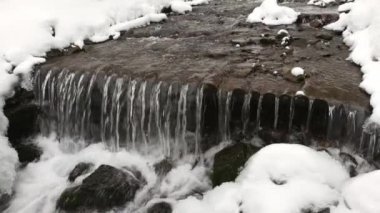 Karpat dağlarında bir dağ deresi taşların ve ağaçların arasından akar.