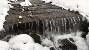 Karpat dağlarında bir dağ deresi taşların ve ağaçların arasından akar.
