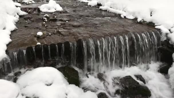 Un arroyo de montaña fluye entre piedras y árboles en las montañas Cárpatas — Vídeo de stock