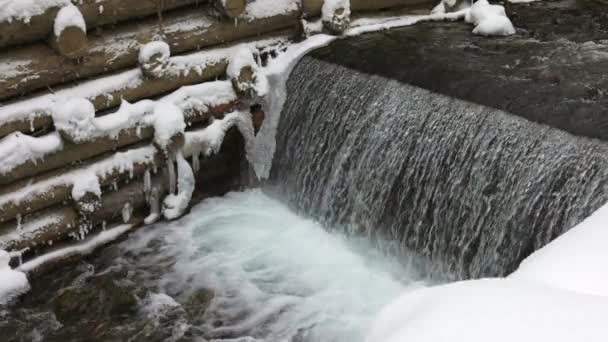 Un mur de rondins entoure un petit ruisseau dans la forêt près d'arbres nus — Video