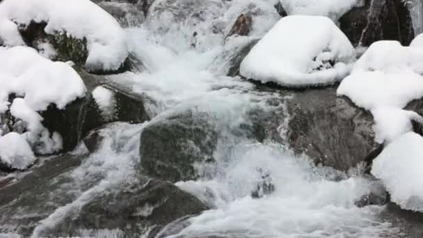 Små strömmar av kallt vatten rinner bland stenarna täckta med snö — Stockvideo