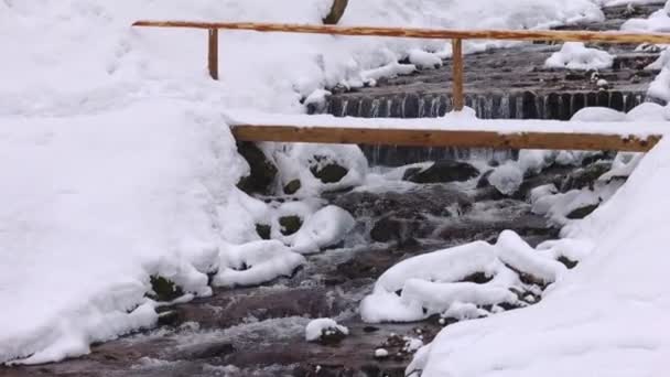 Träbro över en fjällbäck i en skogsdal i Karpaterna — Stockvideo