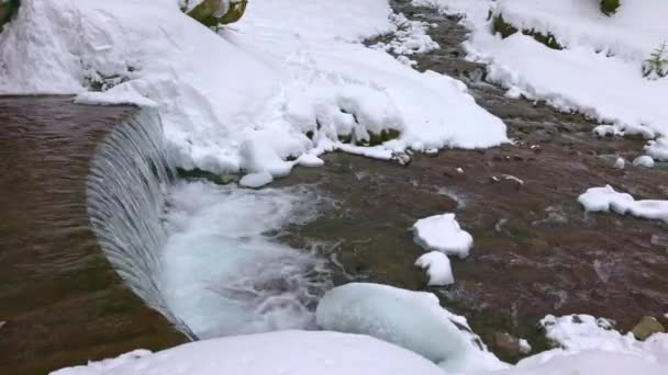 Jembatan kayu di atas sungai pegunungan di lembah hutan di pegunungan Carpathian — Stok Video