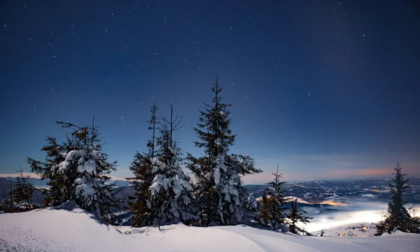 Hipnotyzujący nocny krajobraz ze śnieżnymi jodłami — Zdjęcie stockowe