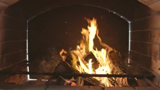 Grande braseiro com fogo ardente e troncos ardentes — Vídeo de Stock