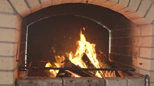 Großes Kohlenbecken mit loderndem Feuer und brennenden Baumstämmen — Stockvideo