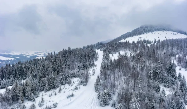 Prachtige landschappen van de Karpaten bedekt met de eerste sneeuw in Oekraïne in de buurt van het dorp Pylypets — Stockfoto
