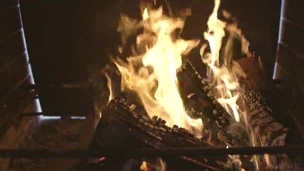 Un feu de joie flamboyant brûle le bois de chauffage noirci et les murs du barbecue — Video