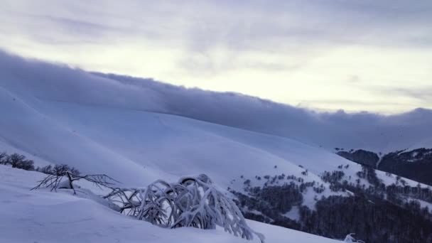 Schöne Wolken bedecken schneebedeckte Berge und Karpatenwälder — Stockvideo