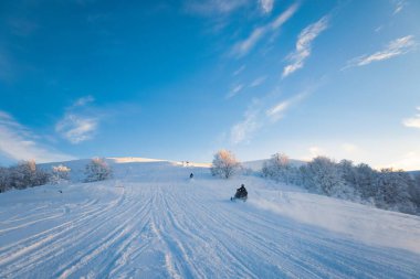 Carpathian Vadisi 'ndeki kayak merkezinde neşeli tatilciler hızlı snowboard ve kayaklarla geziyorlar.