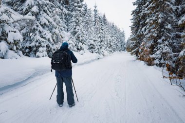 Erkek bir fotoğrafçı, güzel Karpatlar 'da karlı havada bir dağ ormanının kenarını çekmek için kamerasını tripoda ayarlar.