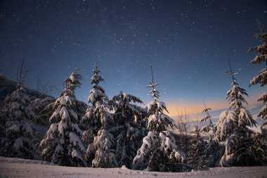 Göz kamaştırıcı doğa, karlı köknar ağaçları ve güzel kış dağları olan yıldızlı gökyüzü. Saf kuzey doğası ve karlı güzellik kavramı.