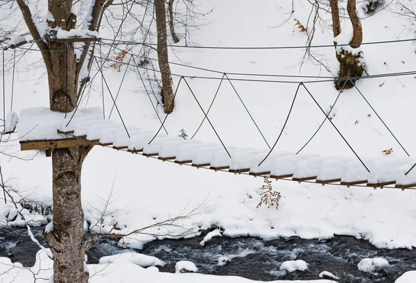 Parc Corde Extrême Couvert Neige Blanche Est Situé Sur Des — Photo