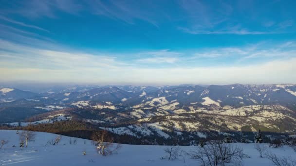 Uma forte tempestade de neve de inverno nas montanhas — Vídeo de Stock