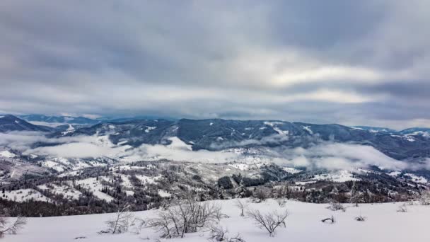 En stark vintersnöstorm i fjällen — Stockvideo