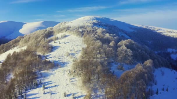 Hoge besneeuwde berg bedekt met altijd groene dennenbomen op een zonnige koude dag — Stockvideo