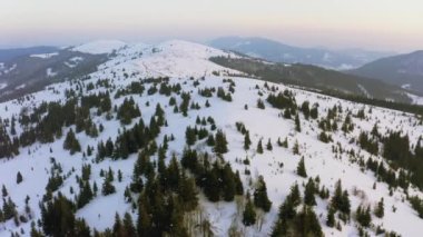 Sıradışı bir vadi tepeler ve dağlarla kaplı köknar ormanlarıyla parlak pembe bir günbatımının arka planına karşı