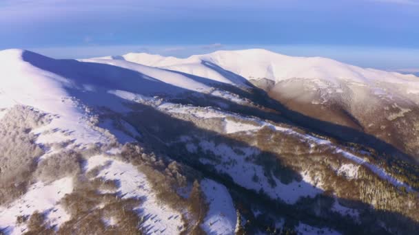 Hoge besneeuwde berg bedekt met altijd groene dennenbomen op een zonnige koude dag — Stockvideo