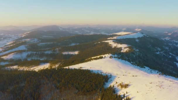 Um vale extraordinário com colinas e montanhas cobertas de florestas de abetos no pano de fundo de um pôr-do-sol rosa brilhante — Vídeo de Stock