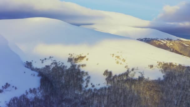 Alta montagna innevata coperta di abeti sempreverdi in una giornata di sole e freddo — Video Stock